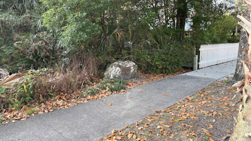 NHL Image